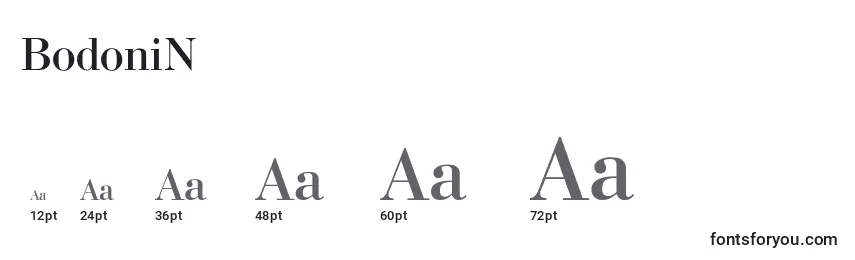 BodoniN Font Sizes