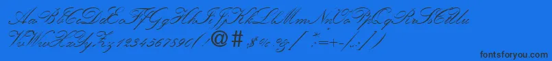 KremlinscripttwoRegular Font – Black Fonts on Blue Background