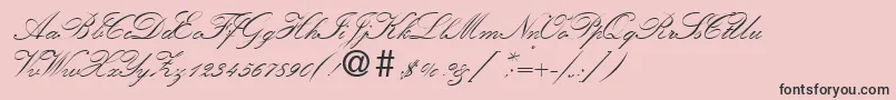 KremlinscripttwoRegular Font – Black Fonts on Pink Background