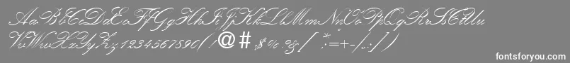 KremlinscripttwoRegular Font – White Fonts on Gray Background