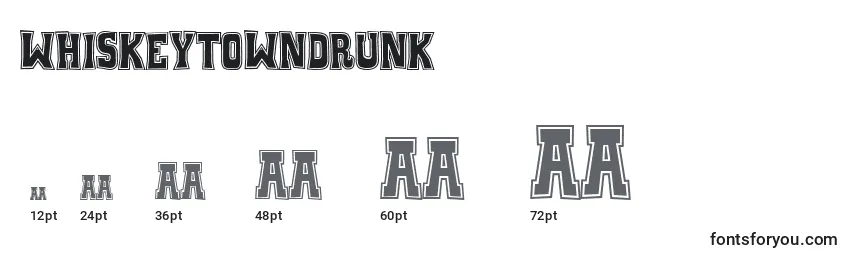 WhiskeyTownDrunk Font Sizes