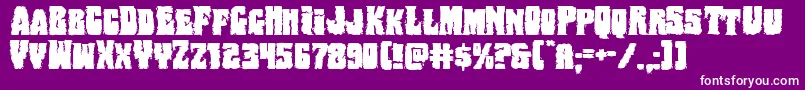 Bogbeastexpand Font – White Fonts on Purple Background