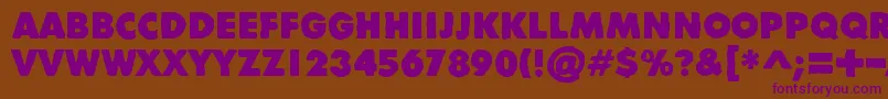 DivisibleInvisibleHigh Font – Purple Fonts on Brown Background