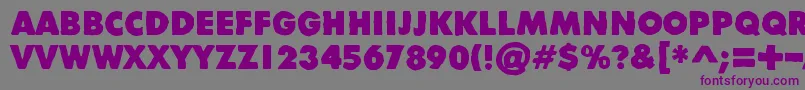 DivisibleInvisibleHigh Font – Purple Fonts on Gray Background