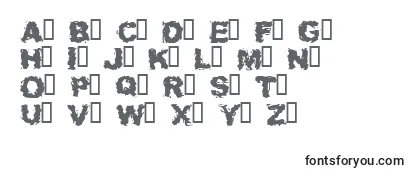 Обзор шрифта Waitab
