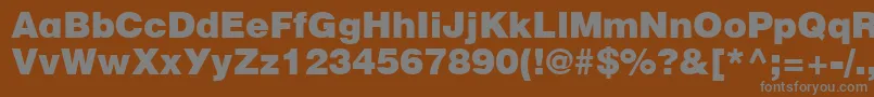 CyrillicheavyNormal Font – Gray Fonts on Brown Background