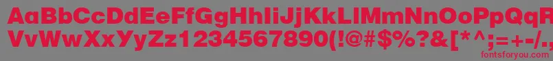 CyrillicheavyNormal Font – Red Fonts on Gray Background