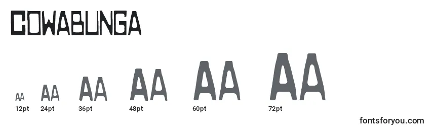 Cowabunga Font Sizes