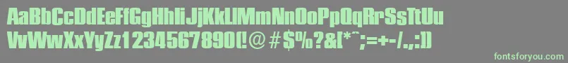 Police PlaketteserialHeavyRegular – polices vertes sur fond gris