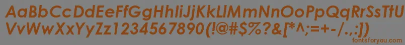 CenturyGothicBoldItalic Font – Brown Fonts on Gray Background
