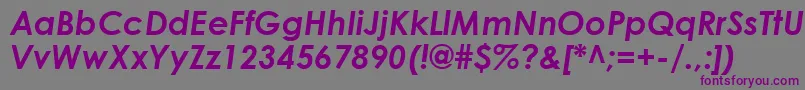 CenturyGothicBoldItalic Font – Purple Fonts on Gray Background