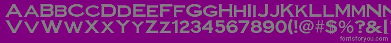 Weitere Informationen zur Steelplategothicbold-Schriftart Steelplategothicbold-Schriftart – Graue Schriften auf violettem Hintergrund