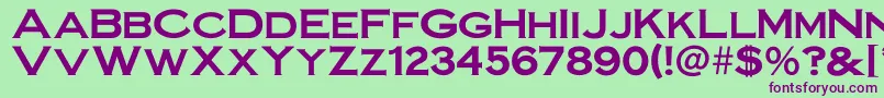 Steelplategothicbold Font – Purple Fonts on Green Background