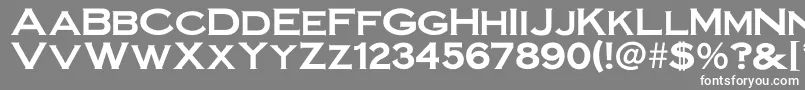 Steelplategothicbold Font – White Fonts on Gray Background