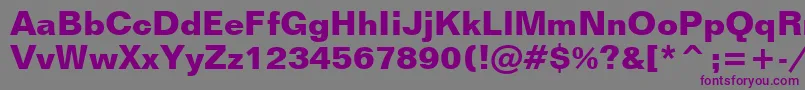 FolioBoldBt Font – Purple Fonts on Gray Background