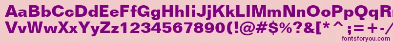 FolioBoldBt Font – Purple Fonts on Pink Background