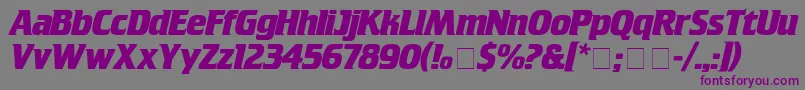 CrilleeBold Font – Purple Fonts on Gray Background