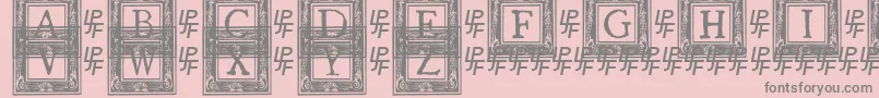 フォントQuanauticaleInitialsNo2 – ピンクの背景に灰色の文字