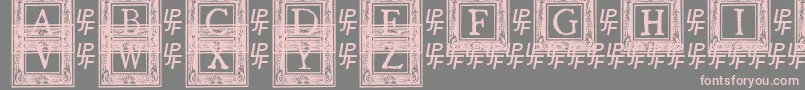 QuanauticaleInitialsNo2 Font – Pink Fonts on Gray Background