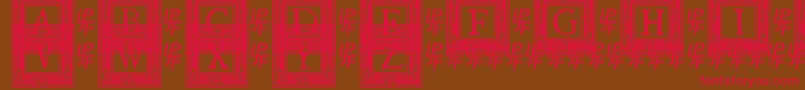 QuanauticaleInitialsNo2 Font – Red Fonts on Brown Background