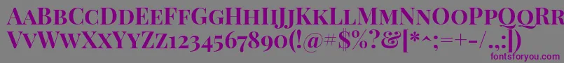 PlayfairdisplayscBold Font – Purple Fonts on Gray Background