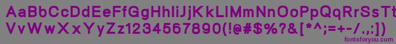 NeogramHeavy Font – Purple Fonts on Gray Background