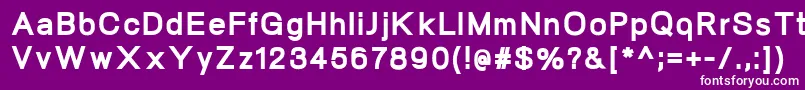 NeogramHeavy Font – White Fonts on Purple Background