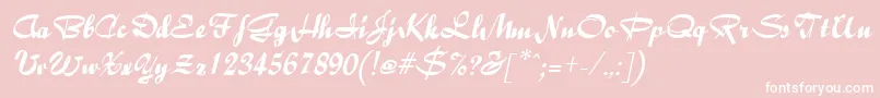 BaileyItalic Font – White Fonts on Pink Background