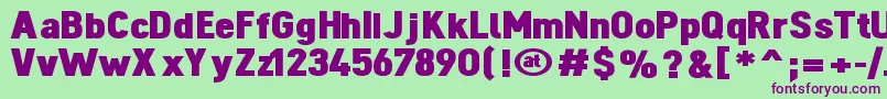 DinovaBlack Font – Purple Fonts on Green Background