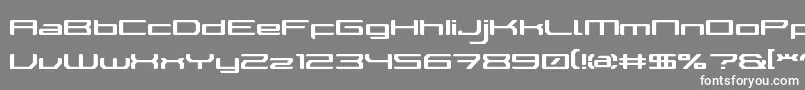 WalkerBotLdr Font – White Fonts on Gray Background