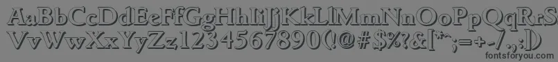 GouditashadowBold Font – Black Fonts on Gray Background
