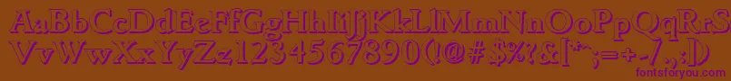 GouditashadowBold Font – Purple Fonts on Brown Background
