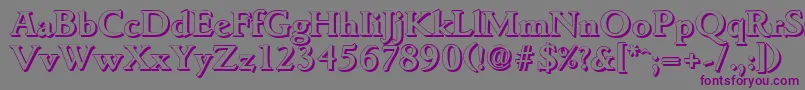 GouditashadowBold Font – Purple Fonts on Gray Background