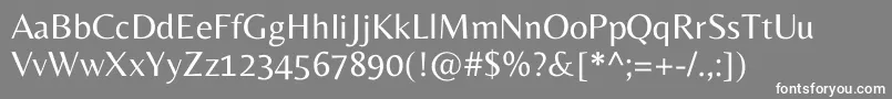 BellezaRegular Font – White Fonts on Gray Background
