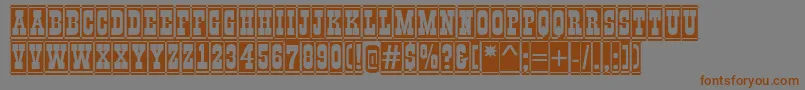 GildiadccmBold Font – Brown Fonts on Gray Background