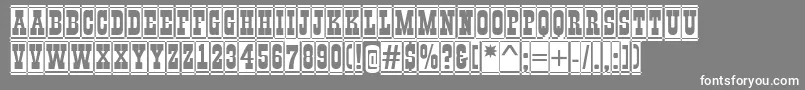 Weitere Informationen zur GildiadccmBold-Schriftart GildiadccmBold-Schriftart – Weiße Schriften auf grauem Hintergrund