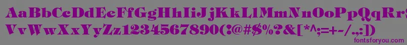 TiffHeavy-fontti – violetit fontit harmaalla taustalla