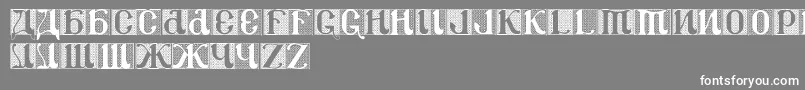 Csar2dv Font – White Fonts on Gray Background