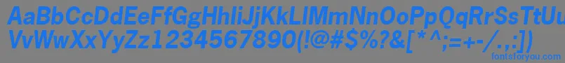 NewsGothicLtBoldOblique Font – Blue Fonts on Gray Background