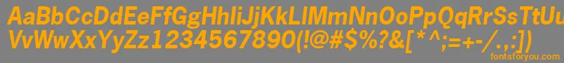 NewsGothicLtBoldOblique Font – Orange Fonts on Gray Background