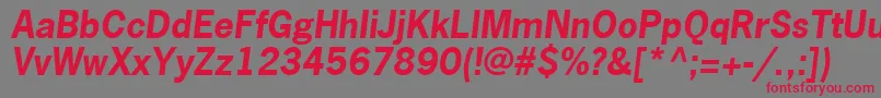 フォントNewsGothicLtBoldOblique – 赤い文字の灰色の背景
