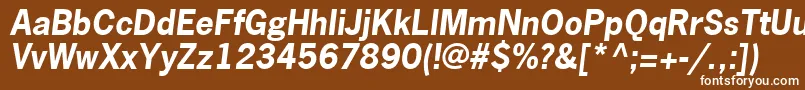 フォントNewsGothicLtBoldOblique – 茶色の背景に白い文字