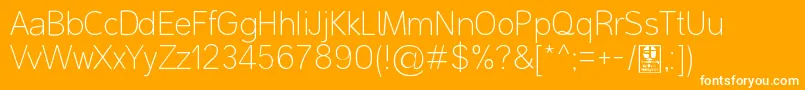 MalterSansThinDemo Font – White Fonts on Orange Background