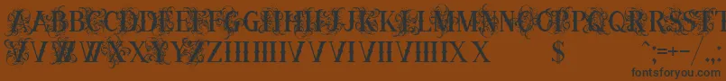 OrnamentalversalsBlack Font – Black Fonts on Brown Background