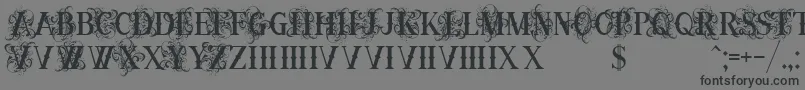 OrnamentalversalsBlack Font – Black Fonts on Gray Background