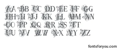 Review of the OrnamentalversalsBlack Font