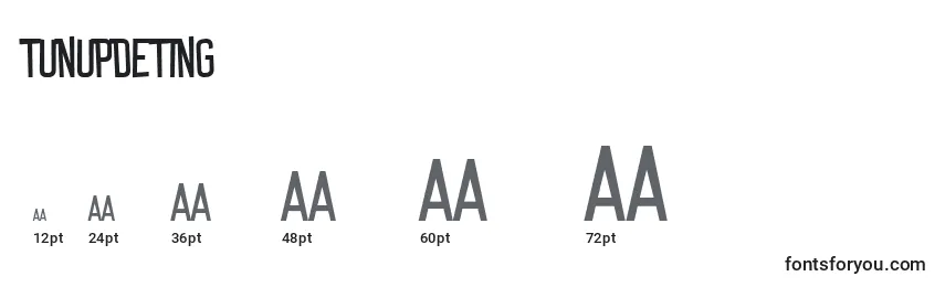 TunUpDeTing Font Sizes