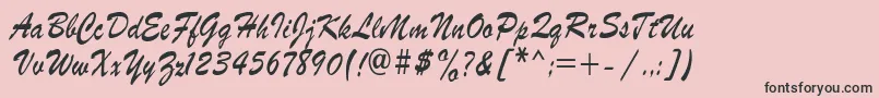 RoscherkdlRegular Font – Black Fonts on Pink Background