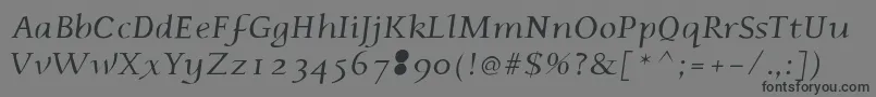 Phaedrusitalic Font – Black Fonts on Gray Background
