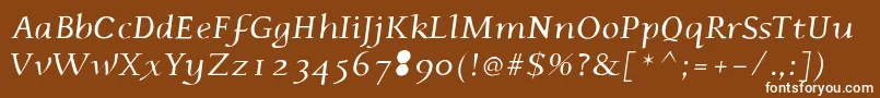Phaedrusitalic Font – White Fonts on Brown Background